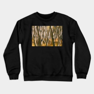 Aspen Abstract Crewneck Sweatshirt